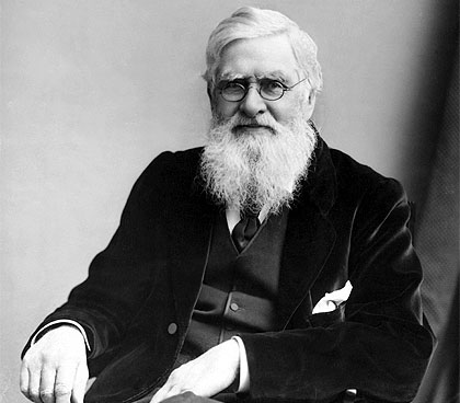 Resultado de imagen de alfred russel wallace